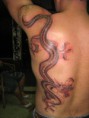 /album/fabio-tattoo/img-1141-jpg/